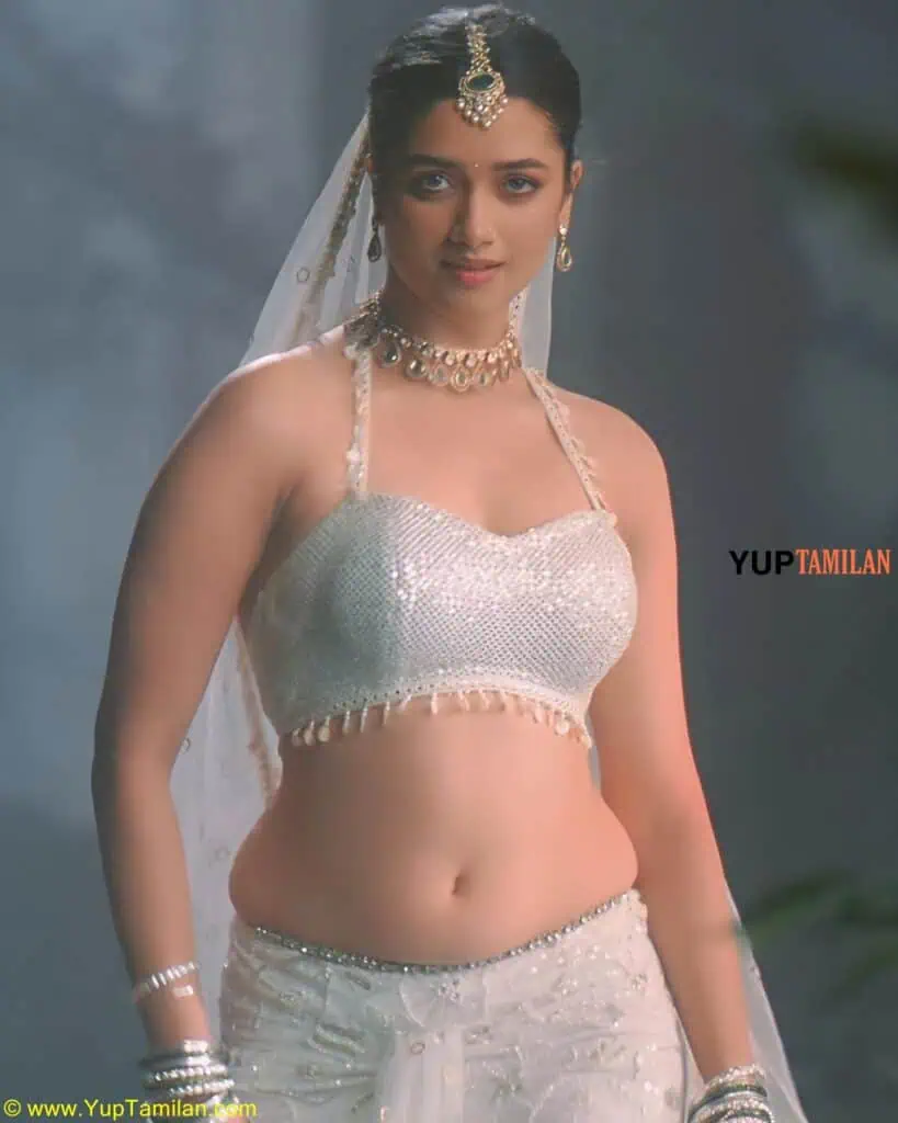 BhagyaShri Borse Hottest Navel Photos 29